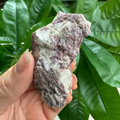 Rough Pink & Black Tourmaline on Quartz Matrix | RPT3