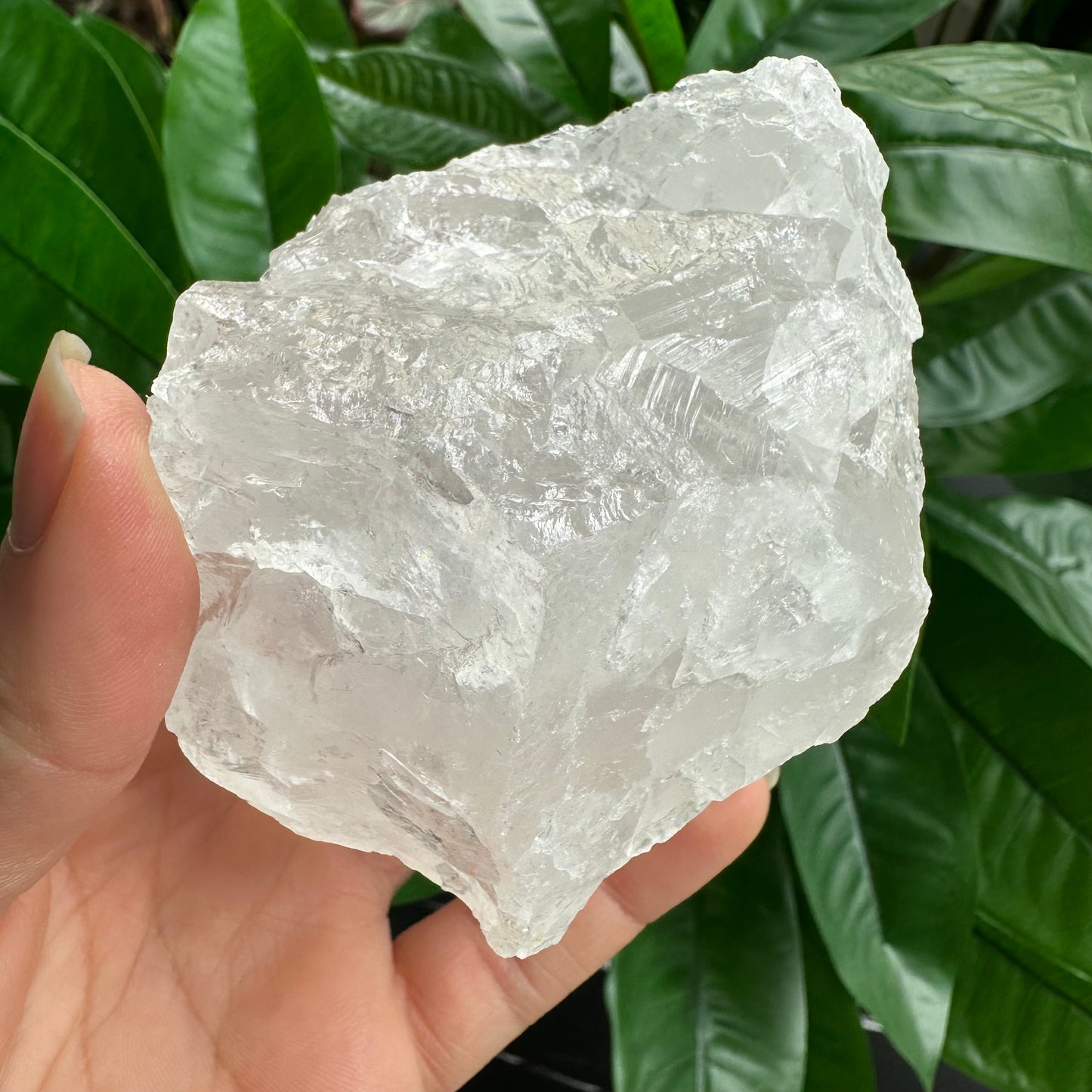 Rough Clear Quartz | 12.1 oz | 3.2”  | Rough Stone | Palm Size Stone | Q12