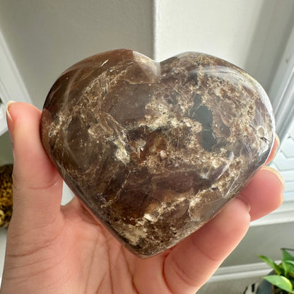 Petrified Wood Heart