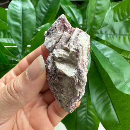 Rough Pink & Black Tourmaline on Quartz Matrix | RPT3