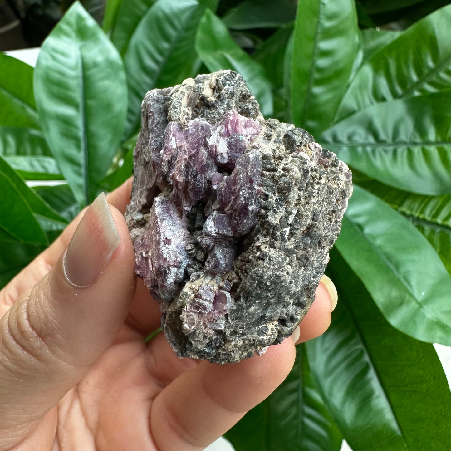 Rough Pink & Black Tourmaline on Quartz Matrix | RPT2
