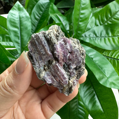 Rough Pink & Black Tourmaline on Quartz Matrix | RPT2