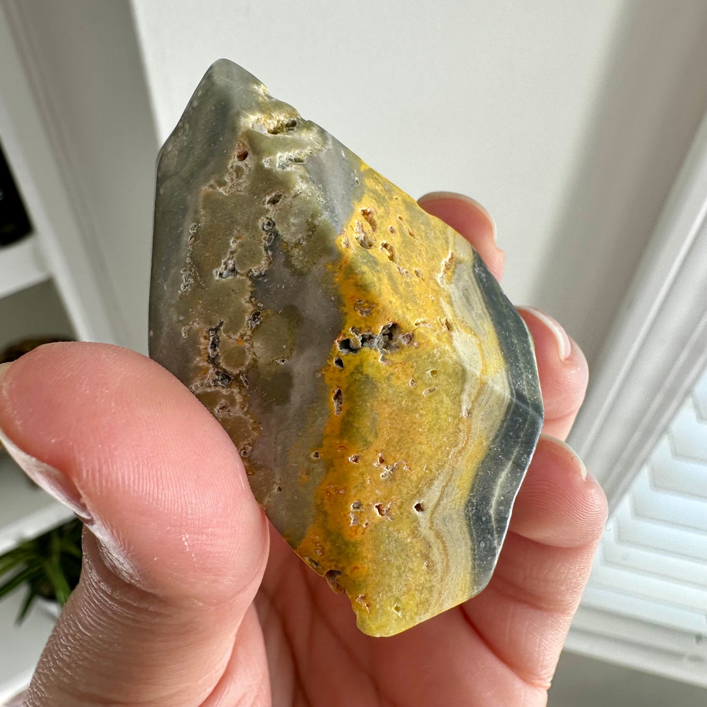 Bumblebee Jasper Freeform