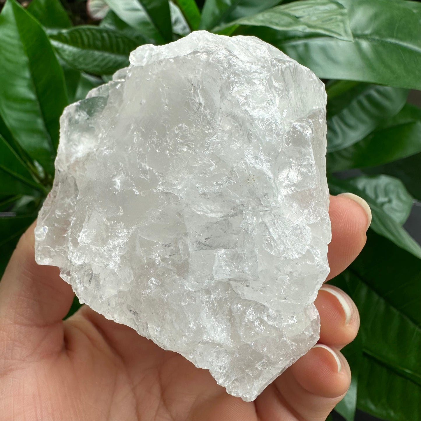 Rough Clear Quartz | 12.1 oz | 3.2”  | Rough Stone | Palm Size Stone | Q12