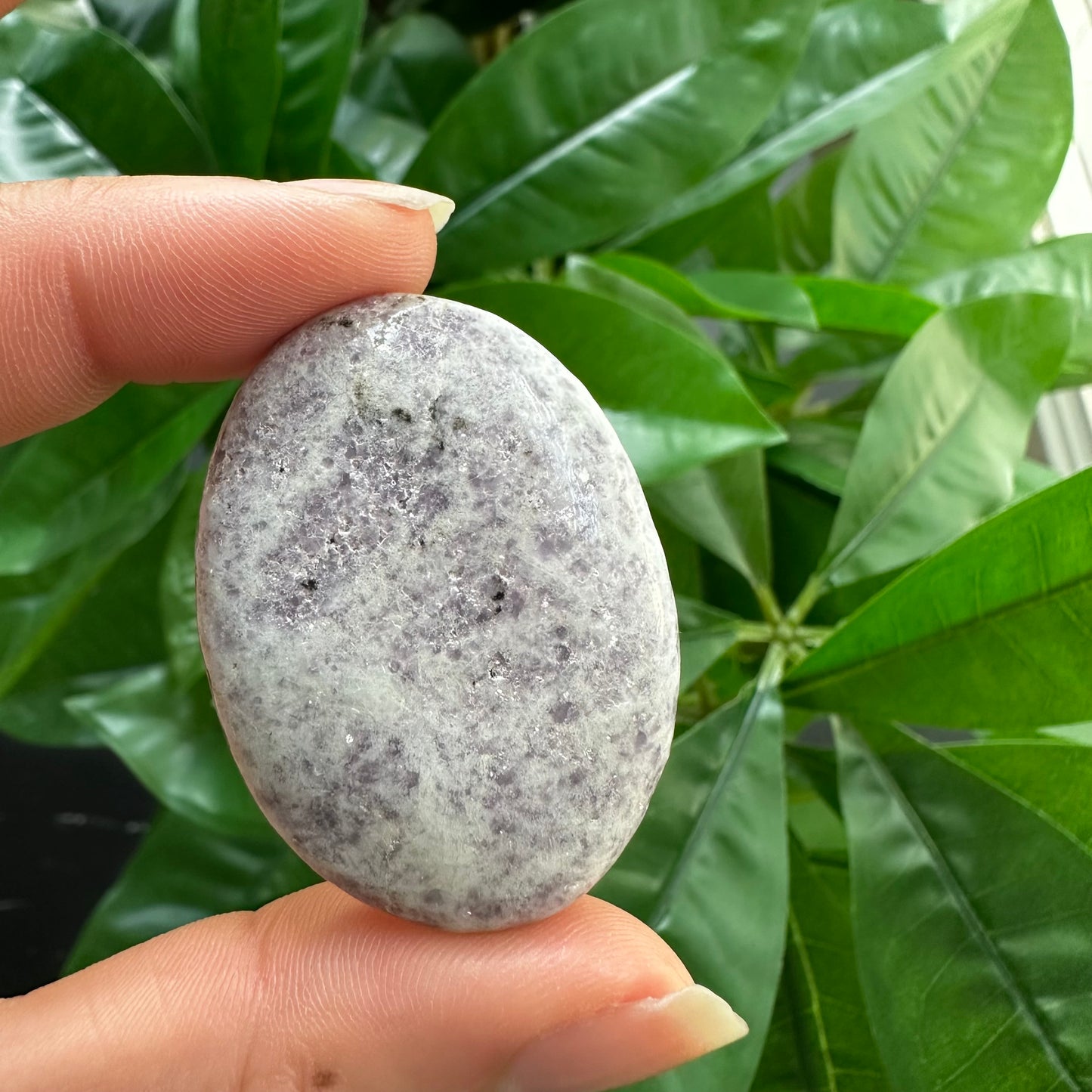 Lepidolite Worry Stone | Crystal Worry Stone