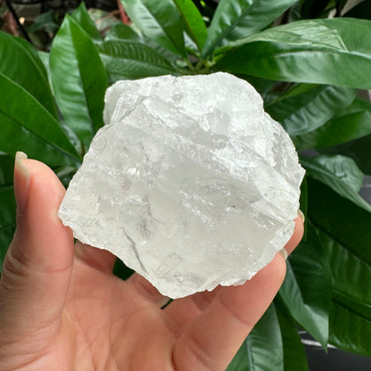 Rough Clear Quartz | 12.1 oz | 3.2”  | Rough Stone | Palm Size Stone | Q12