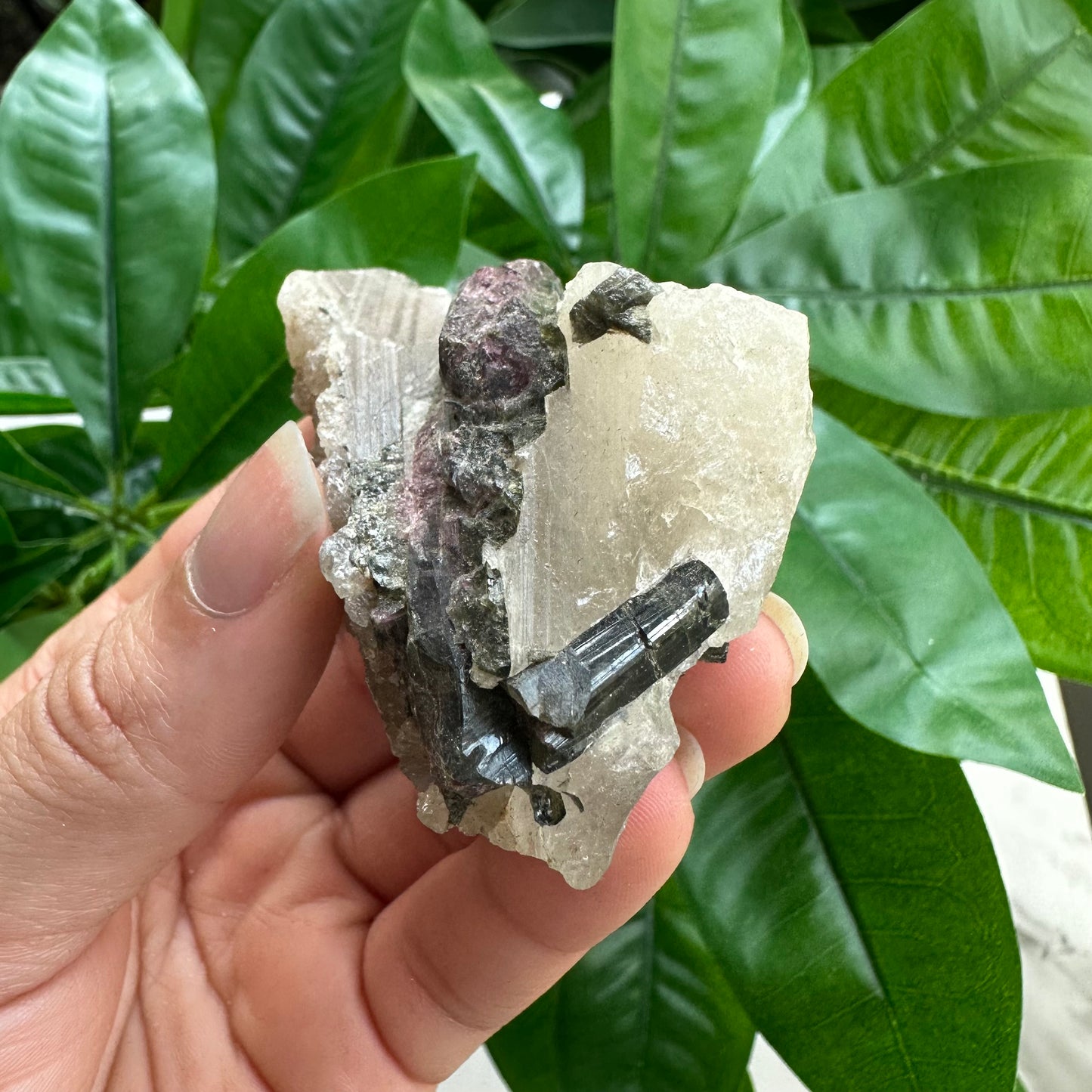 Rough Pink & Black Tourmaline on Quartz Matrix | RPT4