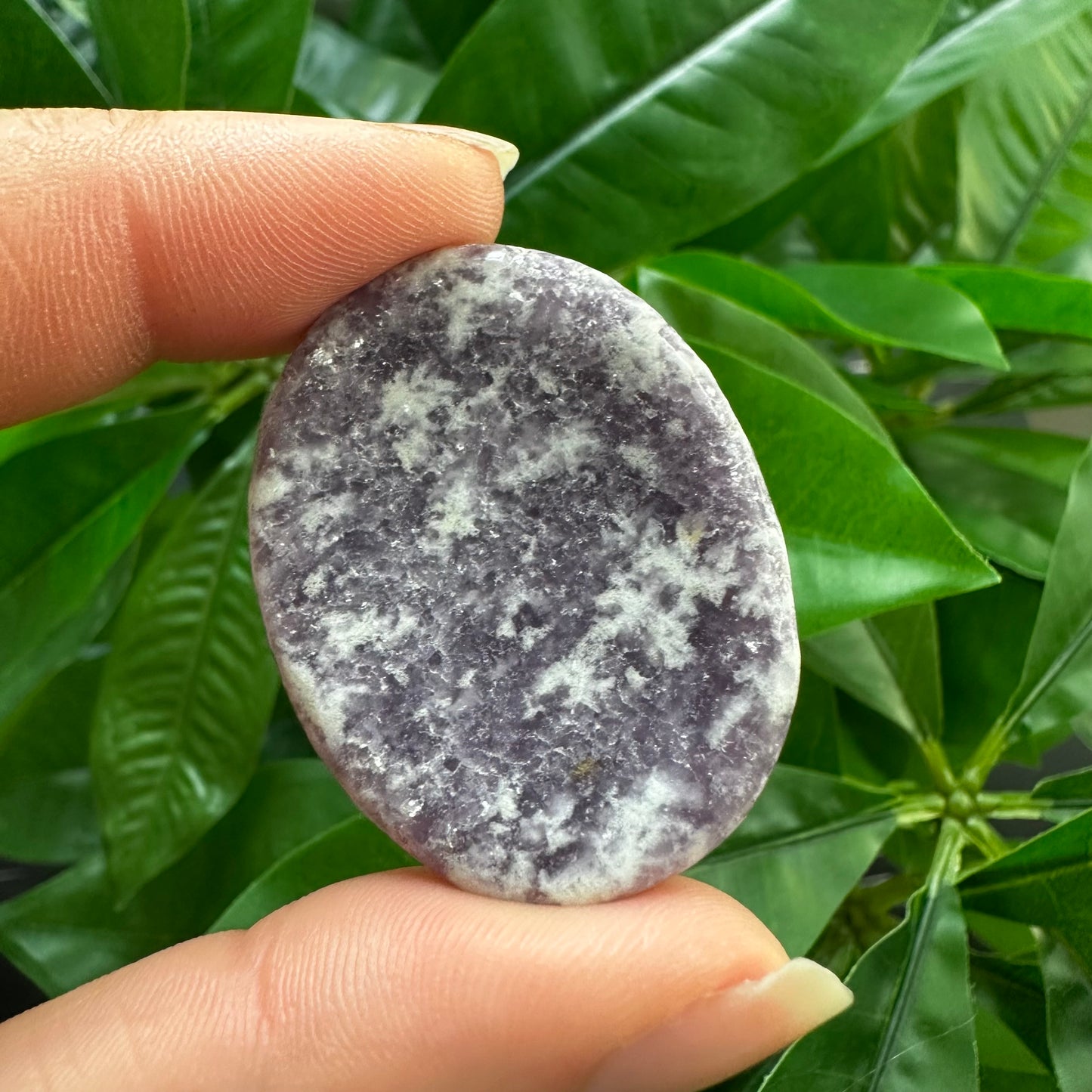 Lepidolite Worry Stone | Crystal Worry Stone