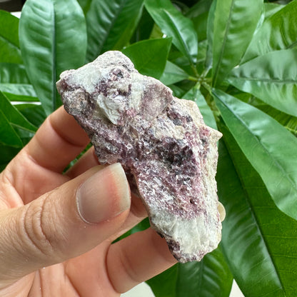 Rough Pink & Black Tourmaline on Quartz Matrix | RPT3