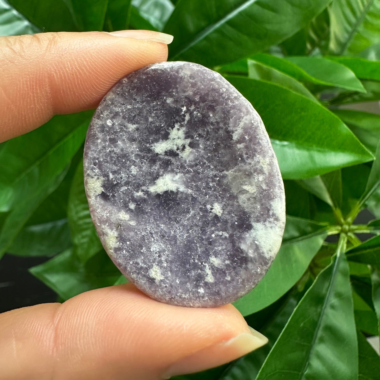 Lepidolite Worry Stone | Crystal Worry Stone