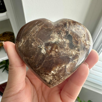 Petrified Wood Heart