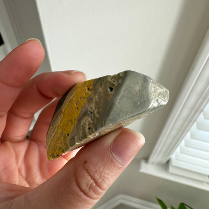 Bumblebee Jasper Freeform