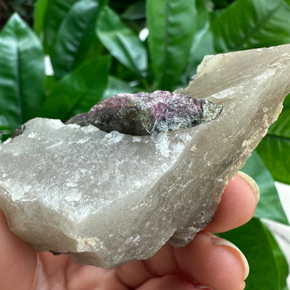 Rough Pink & Black Tourmaline on Quartz Matrix | RPT4