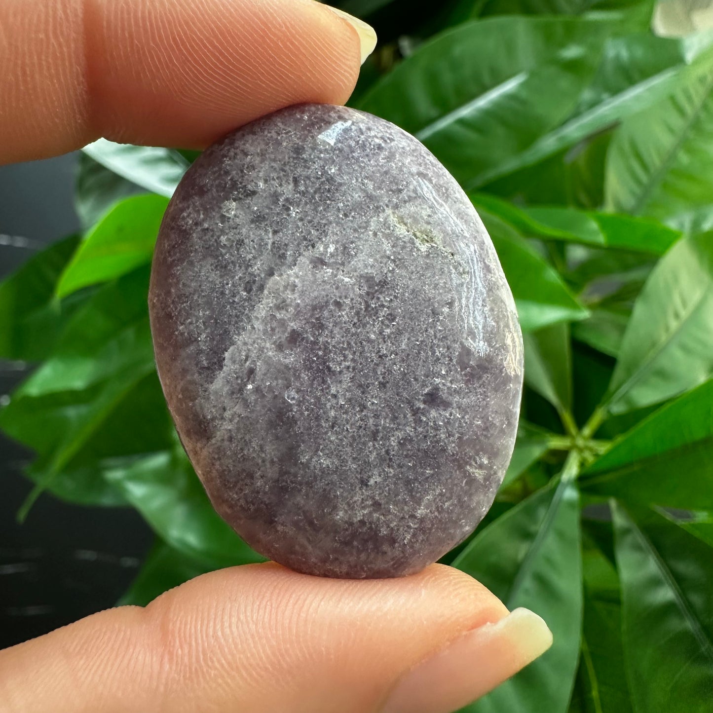 Lepidolite Worry Stone | Crystal Worry Stone