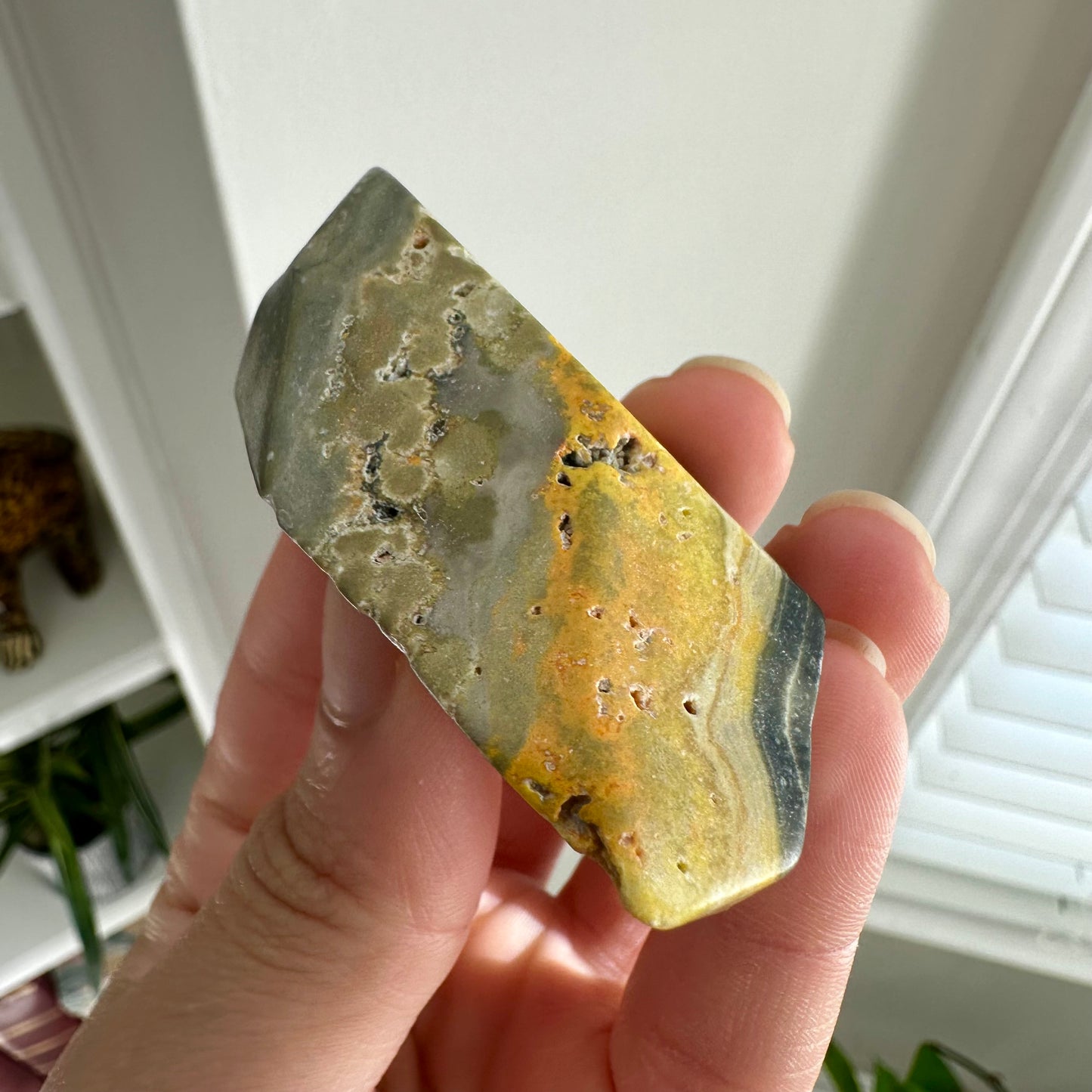 Bumblebee Jasper Freeform