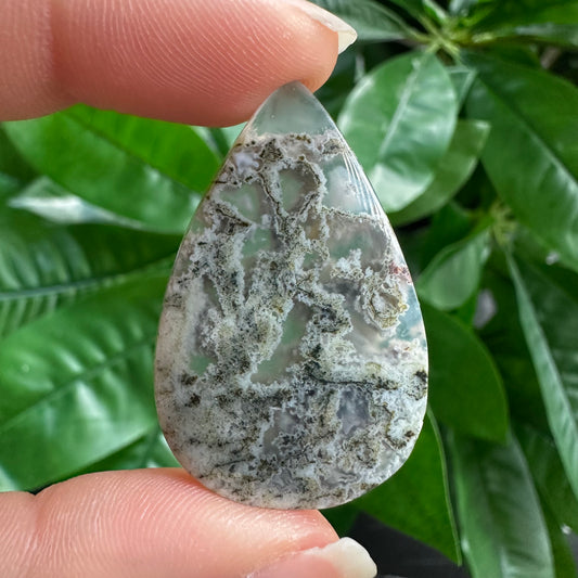 Tree Agate Cabochon | For Wire Wrapping & Jewelry Making | AC5