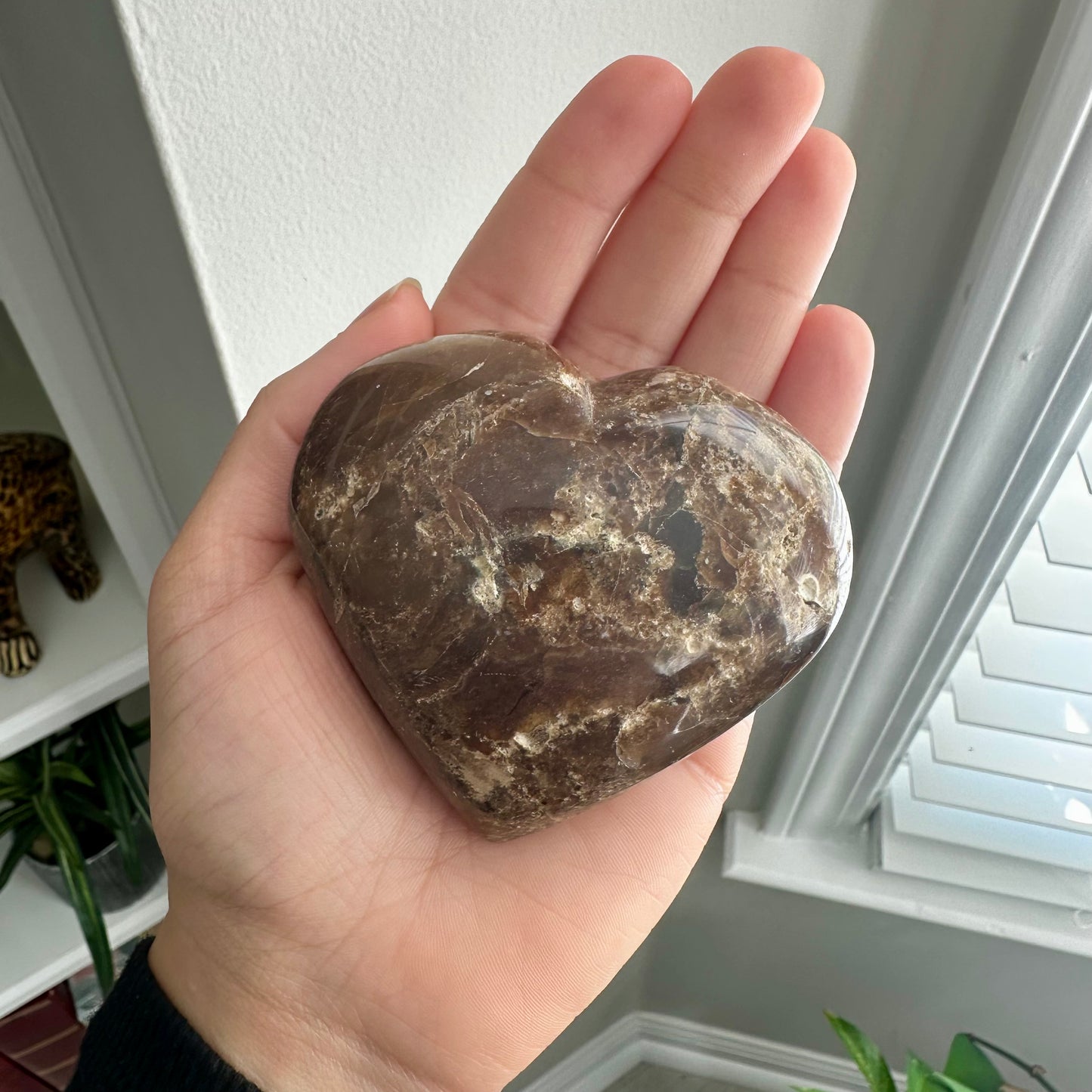 Petrified Wood Heart
