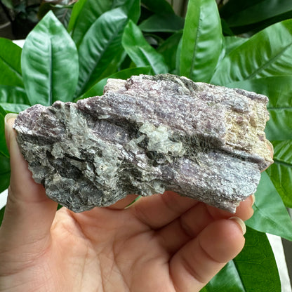 Rough Pink & Black Tourmaline on Quartz Matrix | RPT1