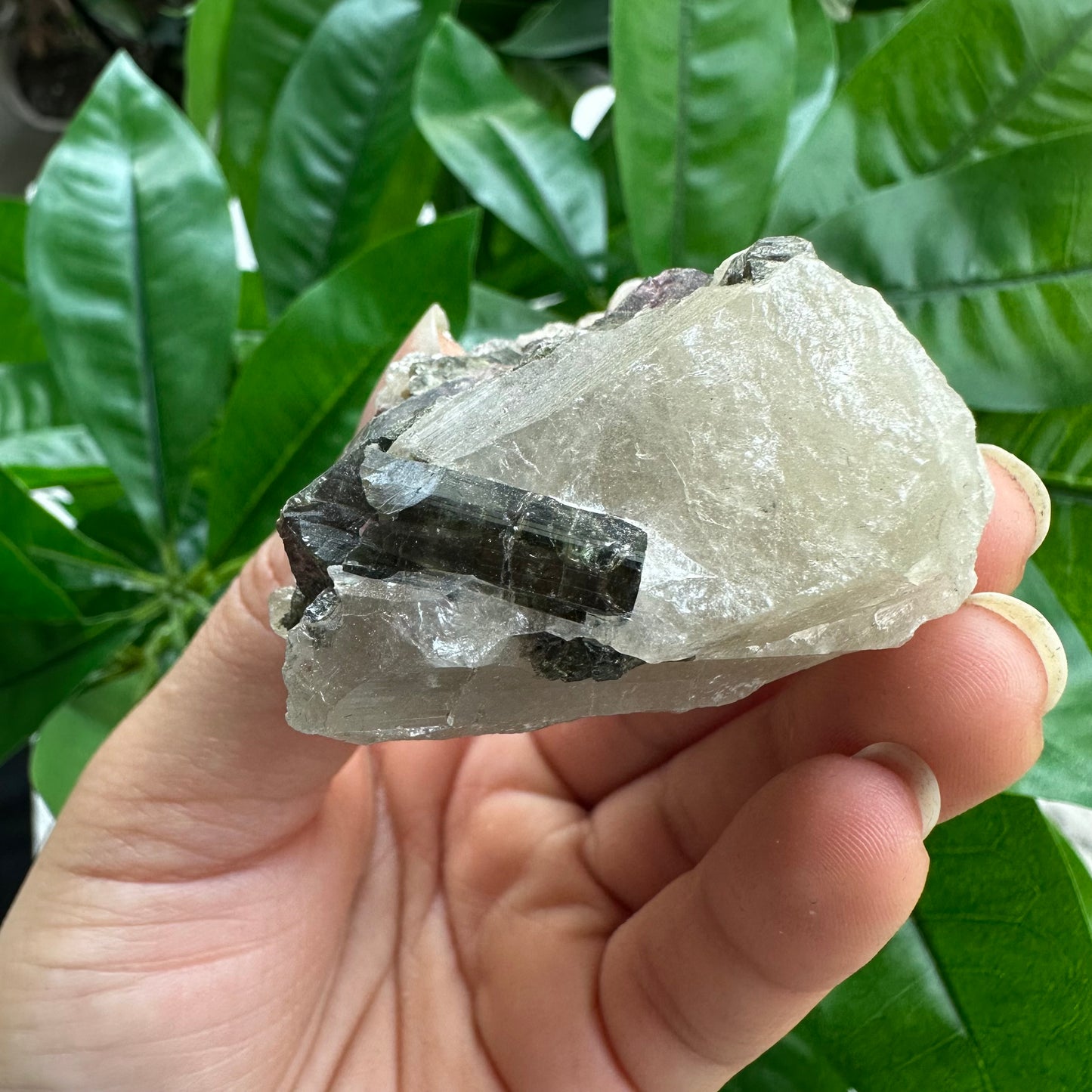 Rough Pink & Black Tourmaline on Quartz Matrix | RPT4