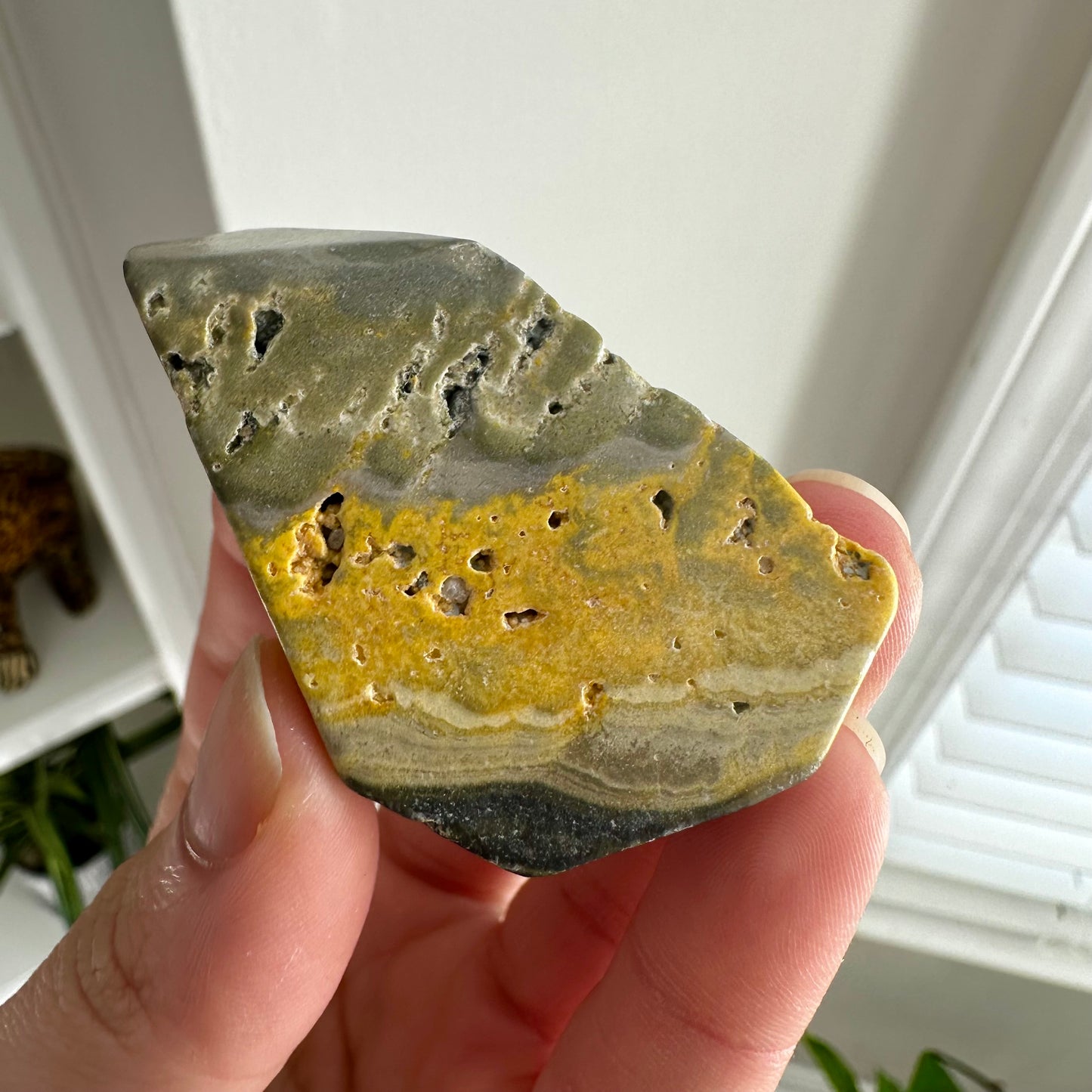 Bumblebee Jasper Freeform