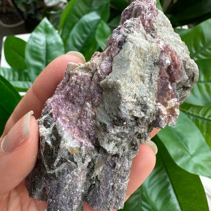 Rough Pink & Black Tourmaline on Quartz Matrix | RPT1