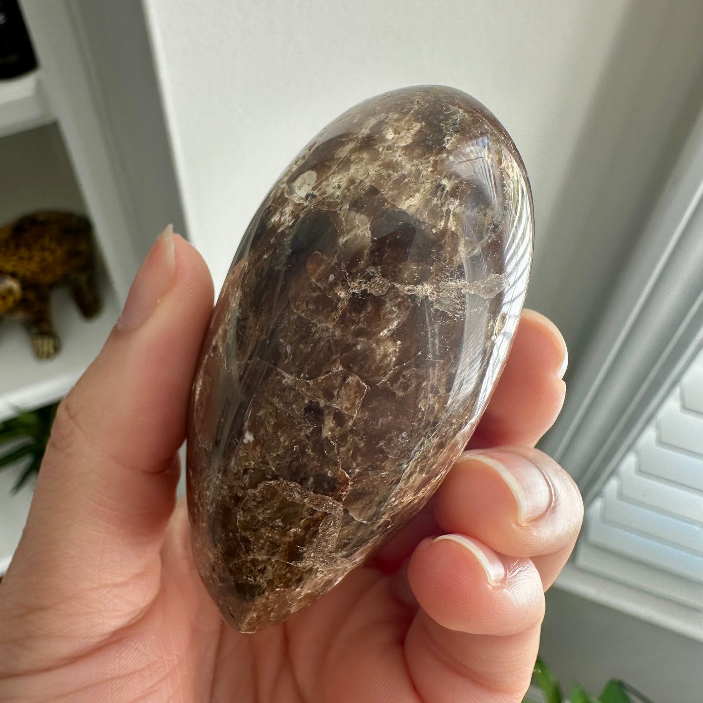 Petrified Wood Heart