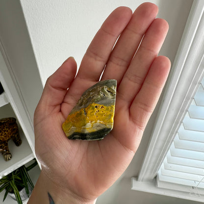 Bumblebee Jasper Freeform