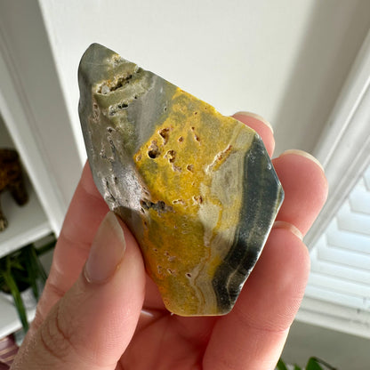 Bumblebee Jasper Freeform