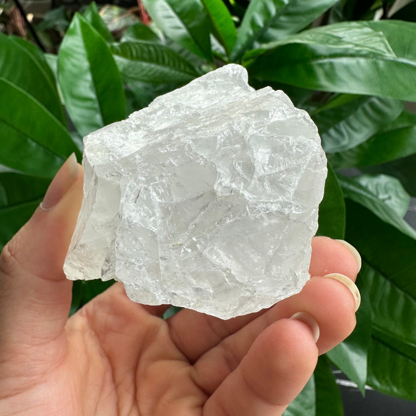 Rough Clear Quartz | 12.1 oz | 3.2”  | Rough Stone | Palm Size Stone | Q12