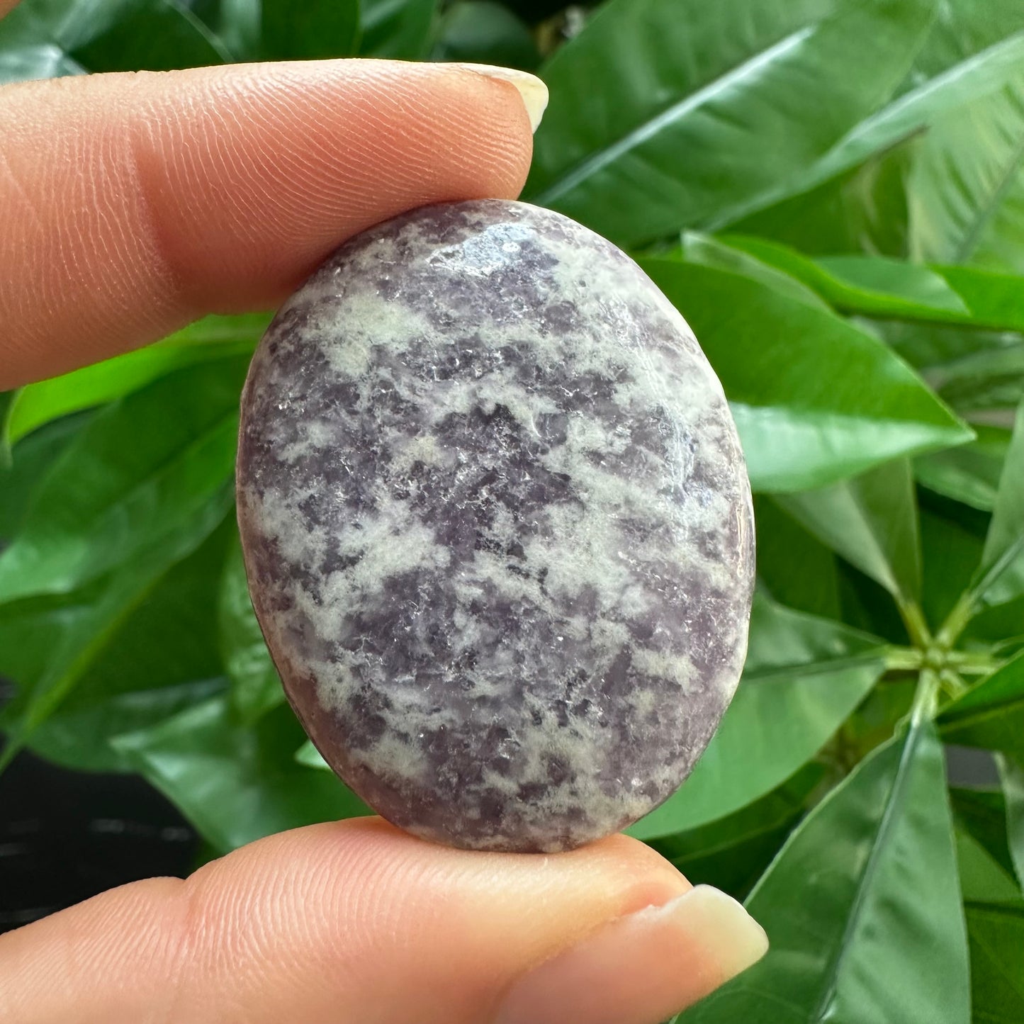 Lepidolite Worry Stone | Crystal Worry Stone