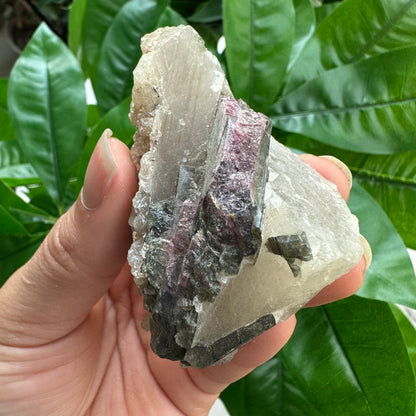 Rough Pink & Black Tourmaline on Quartz Matrix | RPT4