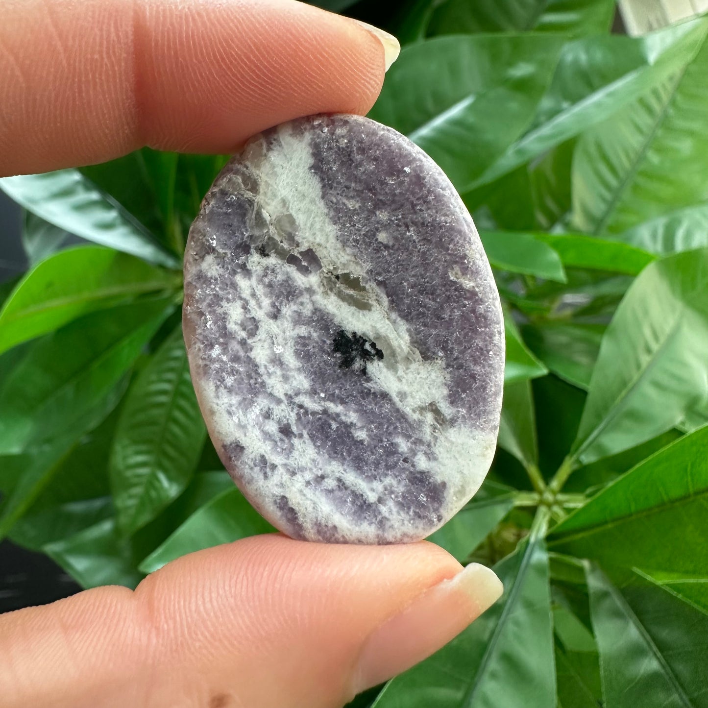 Lepidolite Worry Stone | Crystal Worry Stone