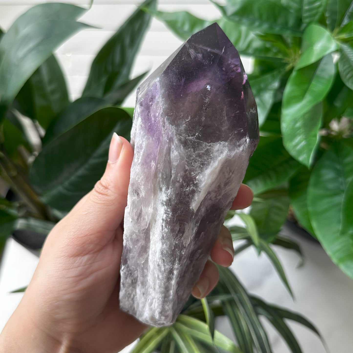 Large Bahia Natural Amethyst Wand | 1 lb 5.3 oz | 6 in | LA10