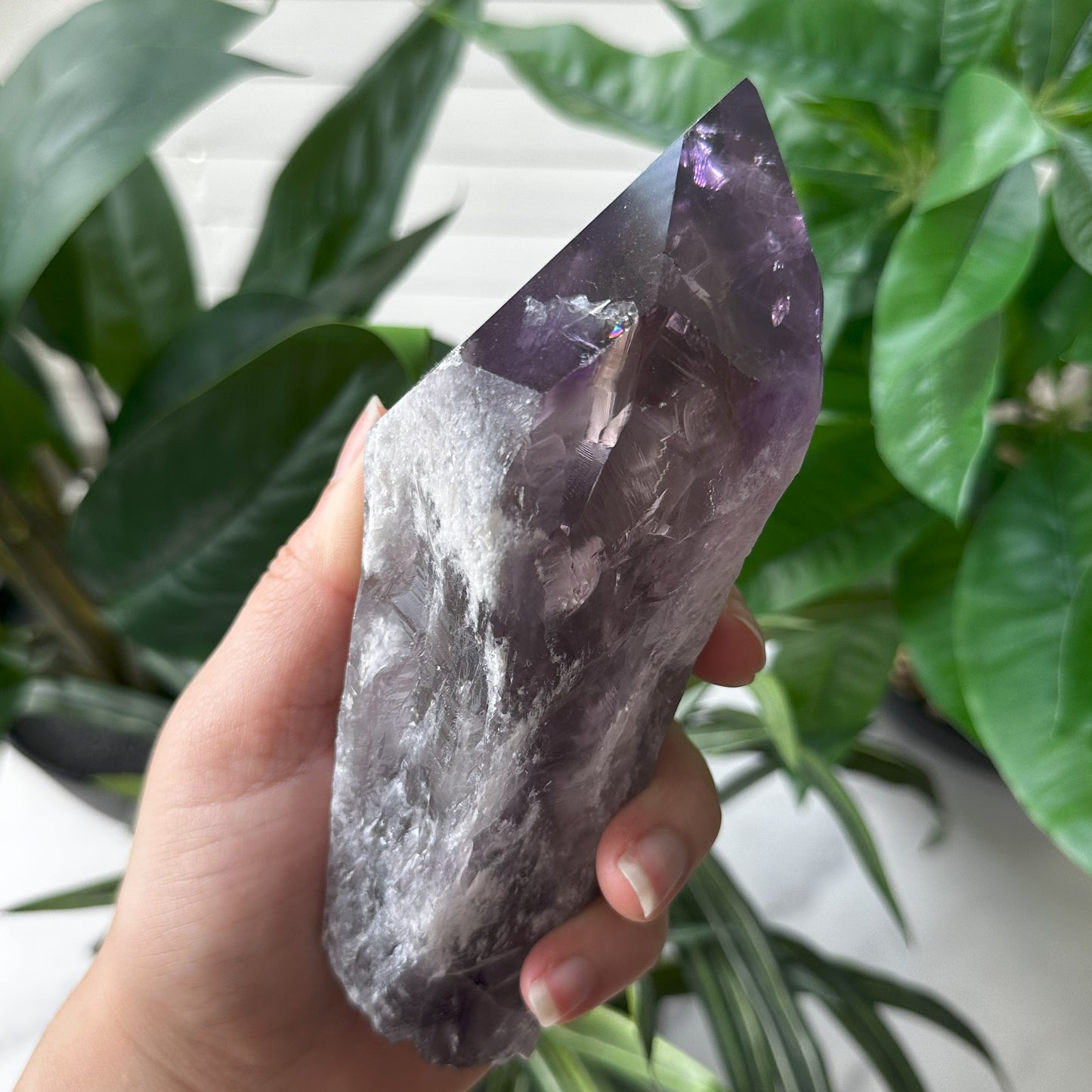 Large Bahia Natural Amethyst Wand | 1 lb 5.3 oz | 6 in | LA10