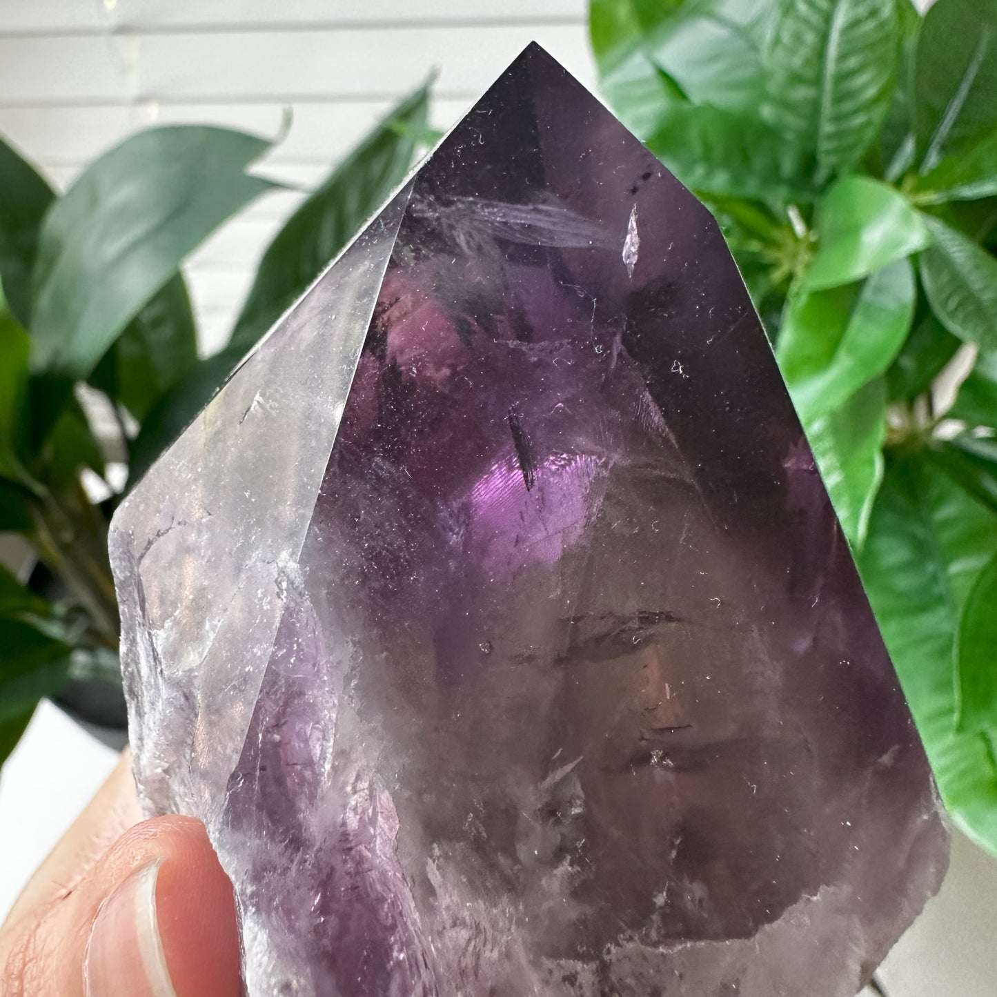 Large Bahia Natural Amethyst Wand | 1 lb 5.3 oz | 6 in | LA10