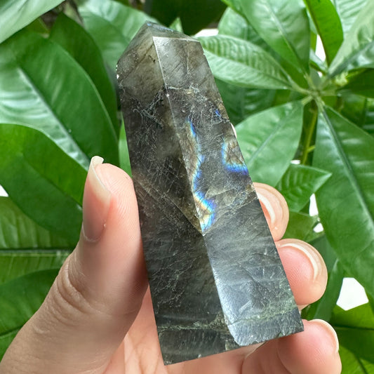 Labradorite Tower | 2.9 oz | 3" | LT1