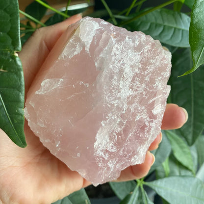 Rough Rose Quartz | 17.9 oz | 3.7”  | Rough Stone | Palm Size Stone | R2