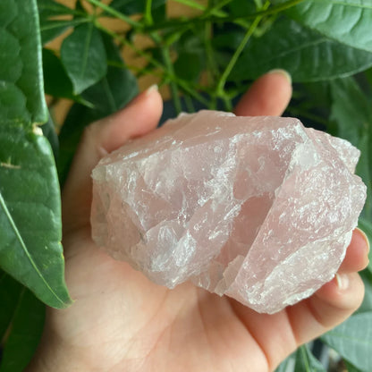 Rough Rose Quartz | 17.9 oz | 3.7”  | Rough Stone | Palm Size Stone | R2
