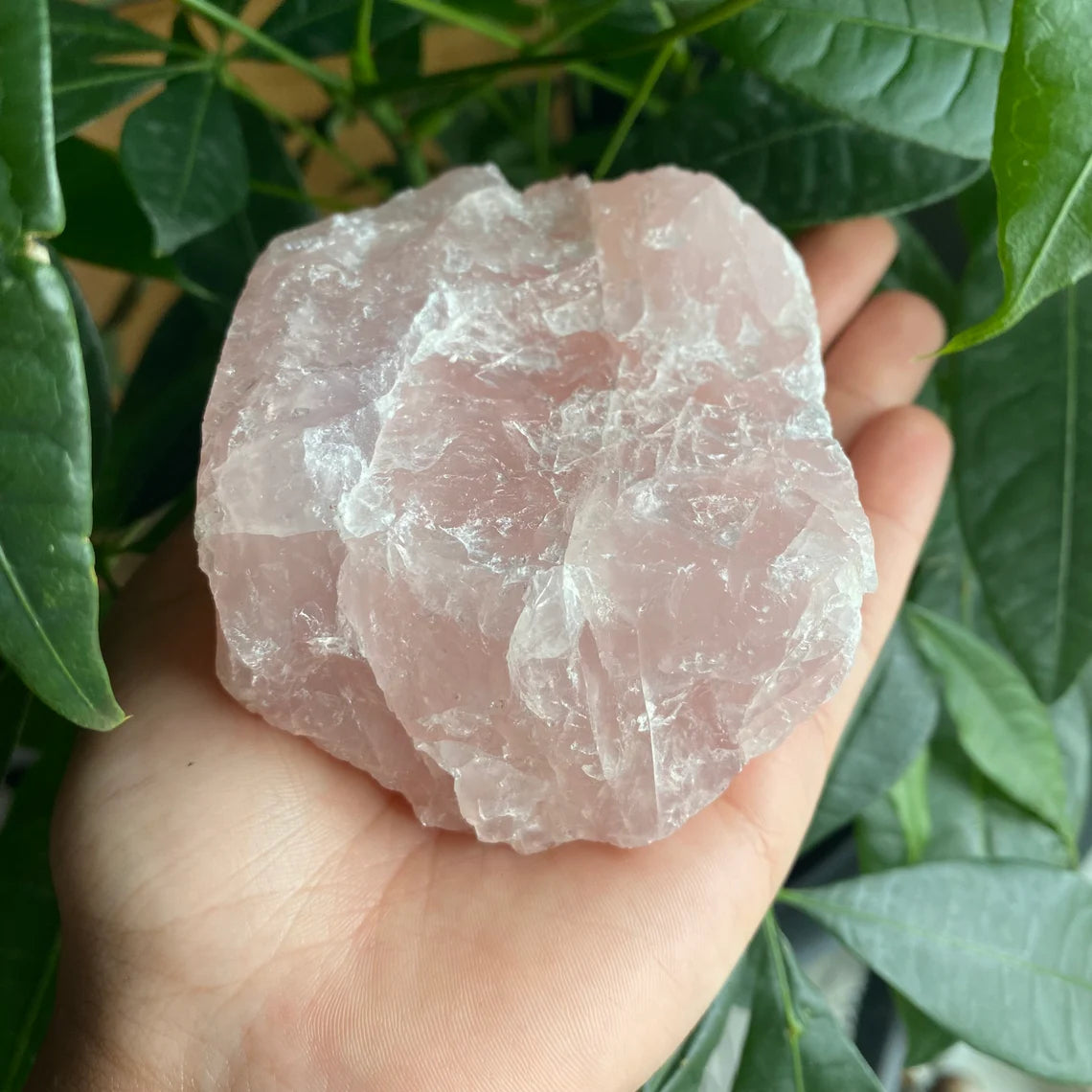 Rough Rose Quartz | 17.9 oz | 3.7”  | Rough Stone | Palm Size Stone | R2