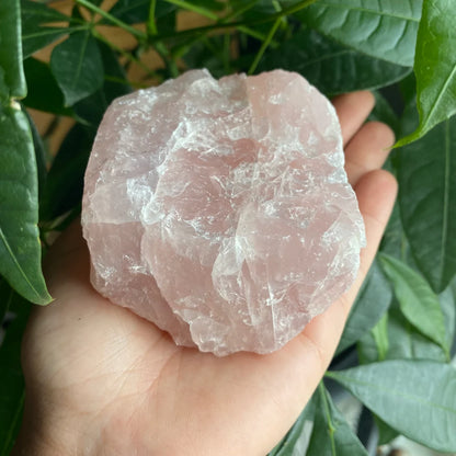 Rough Rose Quartz | 17.9 oz | 3.7”  | Rough Stone | Palm Size Stone | R2