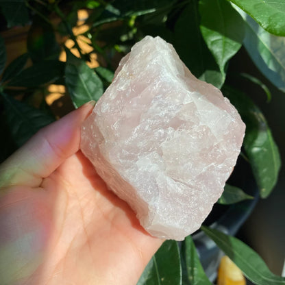 Rough Rose Quartz | 12.5 oz | 3.6”  | Rough Stone | Palm Size Stone | R3