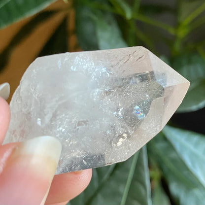 Natural Clear Quartz Point | 1 oz | 1.9”  | Clear Quartz | Top Polished Point | QP1