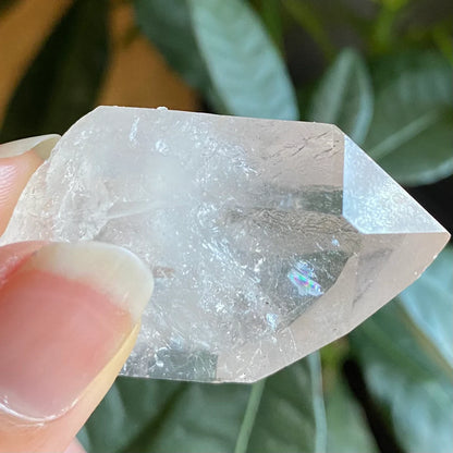 Natural Clear Quartz Point | 1 oz | 1.9”  | Clear Quartz | Top Polished Point | QP1