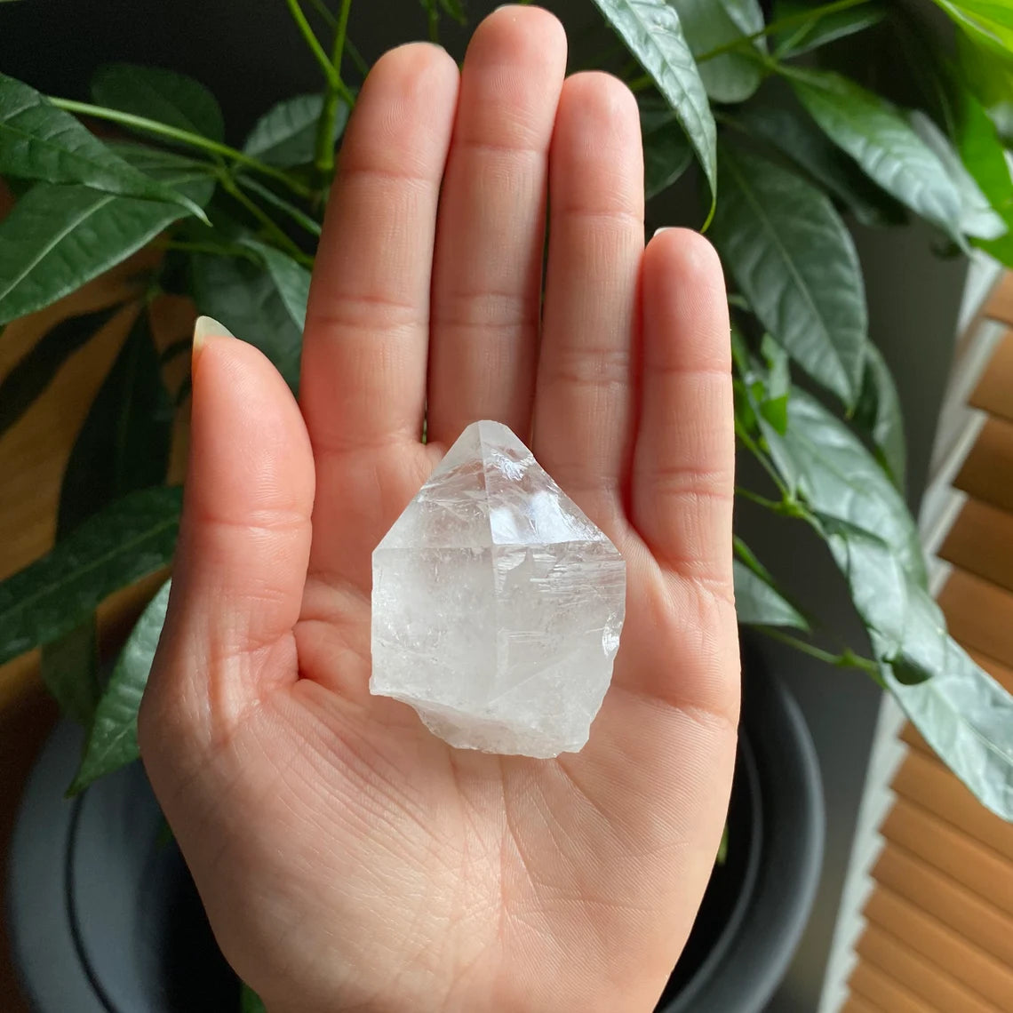 Natural Clear Quartz Point | 2 oz | 2”  | Clear Quartz | Top Polished Point | QP2