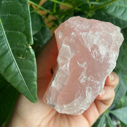 Rough Rose Quartz | 17.9 oz | 3.7”  | Rough Stone | Palm Size Stone | R2