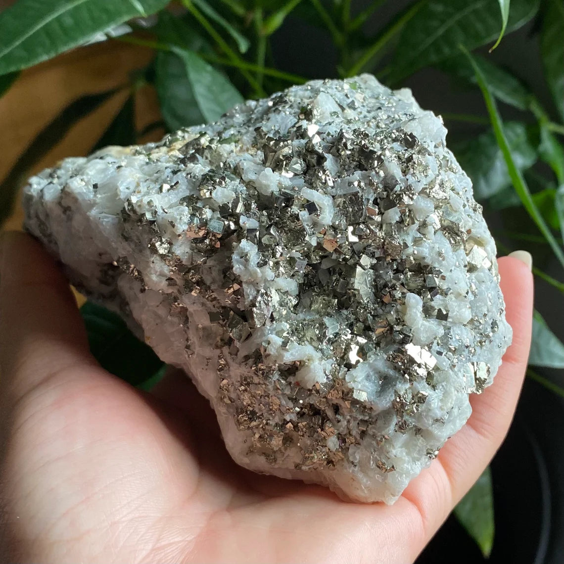 Pyrite on Quartz Matrix Specimen | 2 lb 5.2 oz | 5" | Pyrite | Mineral Specimen | Fools Gold | Attract Abundance | Pyrite Specimen