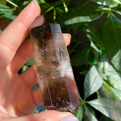 Smoky Quartz Point | 3 oz | 3.4 in | Crystal Point