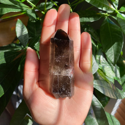 Smoky Quartz Point | 3 oz | 3.4 in | Crystal Point