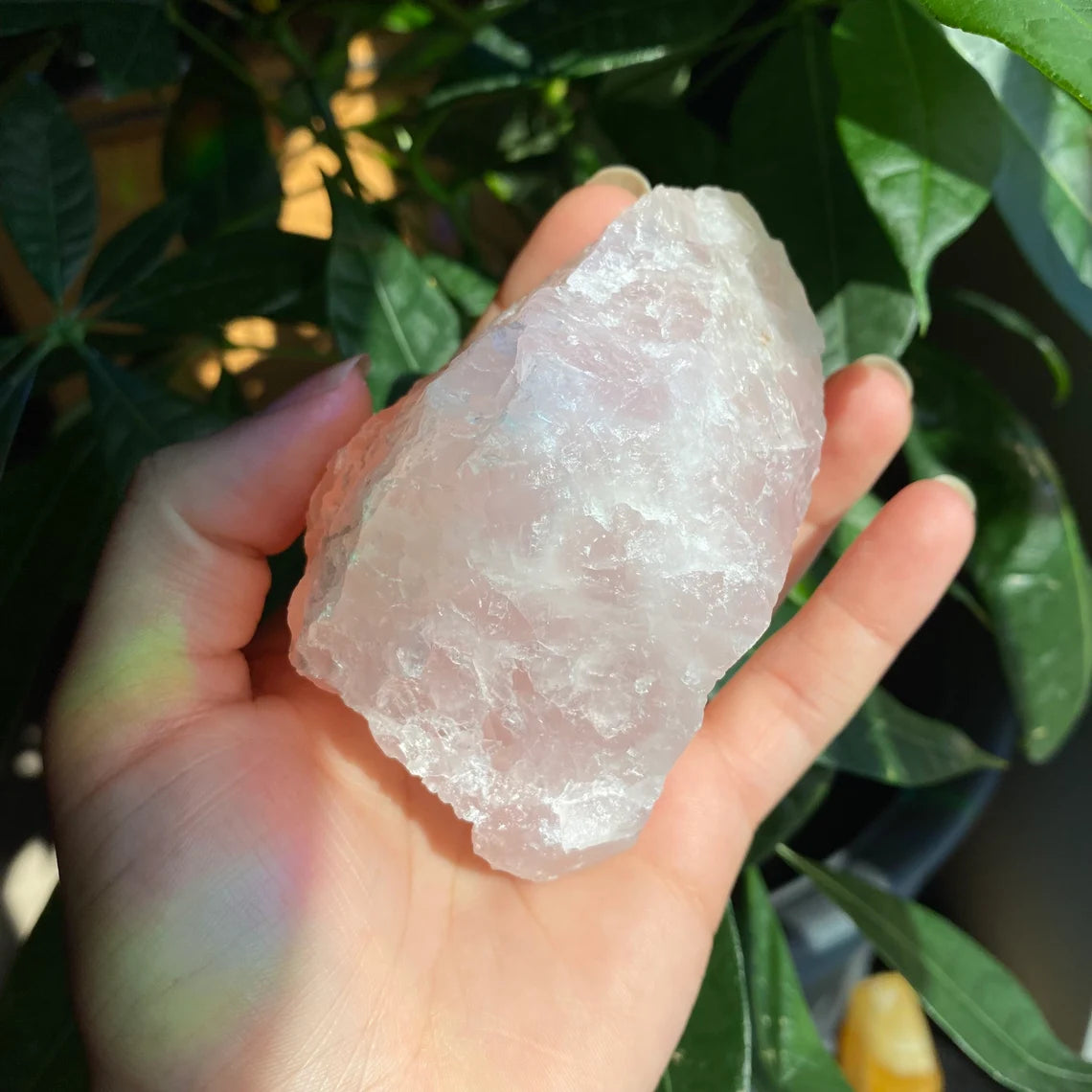 Rough Rose Quartz | 12.5 oz | 3.6”  | Rough Stone | Palm Size Stone | R3