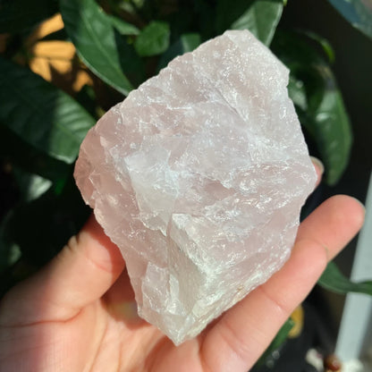 Rough Rose Quartz | 12.5 oz | 3.6”  | Rough Stone | Palm Size Stone | R3